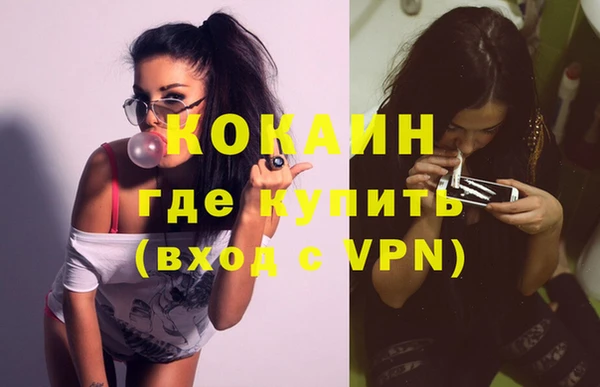 прущие грибы Кулебаки