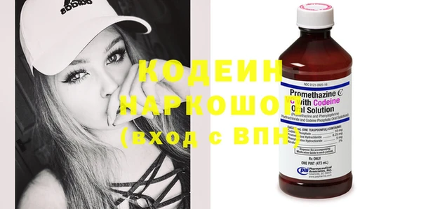 прущие грибы Кулебаки