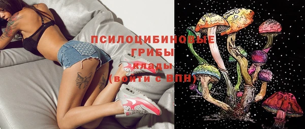 прущие грибы Кулебаки
